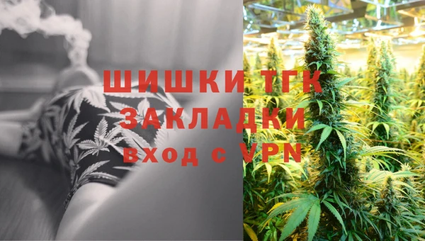 сатива Алзамай