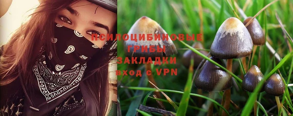 индика Армянск