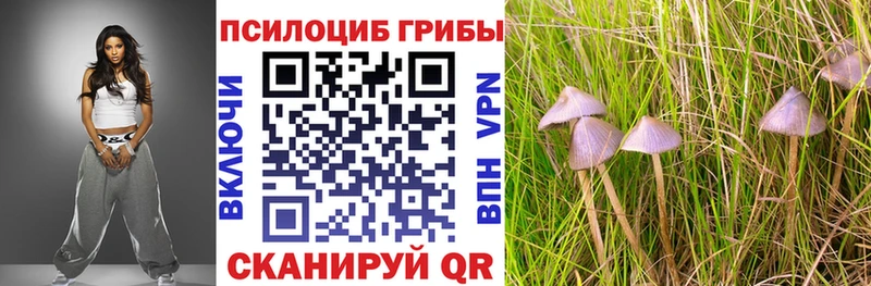купить наркоту  Белёв  Псилоцибиновые грибы прущие грибы 
